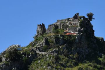 Sfoglia la galleria